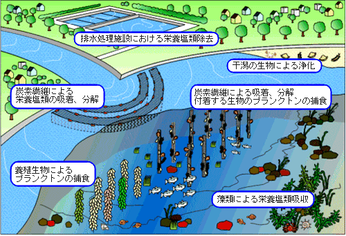 ｊｗｇ ジャパン ウォーター ガード 水の学習室 ３水環境対策編 ３ 湖沼での浄化対策